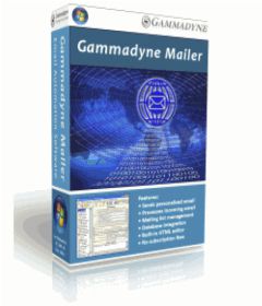 Gammadyne-Mailer crack-with-Patch