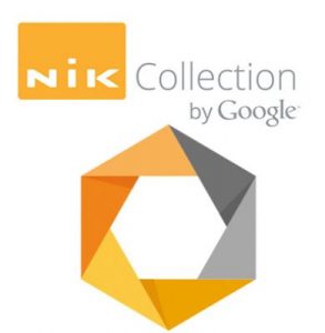 google nik collection work alone