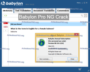 Babylon-Pro-NG-11.0.1-Crack-Software-With-Life-Time-License