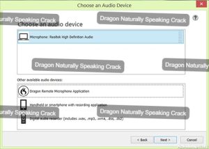 Dragon Naturally Speaking Download